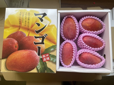 【予約】　７月発送　[贈答用] 沖縄県産マンゴー　2kg (3~8玉)