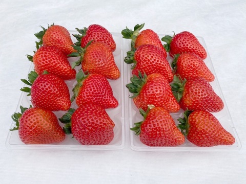 マジでやばデカ果汁が溢れる大きさ❤️「プラチナ級光姫」❤️　❗️1箱16個入(大きさL〜LL)600g〜700g❗️