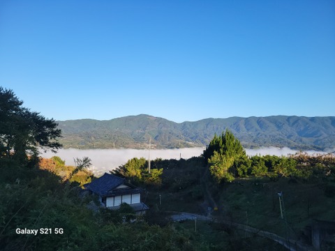 和歌山県産(かつらぎ町)　吊るし柿