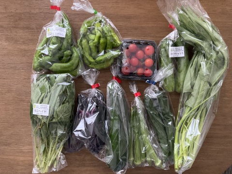 【少量サイズ♪】信州夏野菜セット10品目 お試しにも！