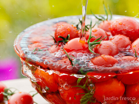 シュガープラム4kg 糖度10度以上の高リコピン(13mg)極甘・完熟・高糖度ミニトマト　ジューシーな甘さがクセになる(300005)