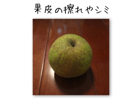 【かおり】3kg（10玉）【家庭用】幻の梨！さわやかな甘さと香りが特徴です！