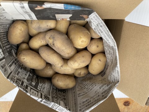 『新じゃが』小さなメークイン集合！1kg