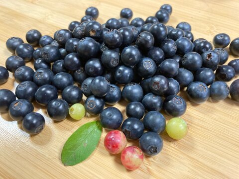 佐賀県産　大地のミネラルブリーベリー1ｋｇ