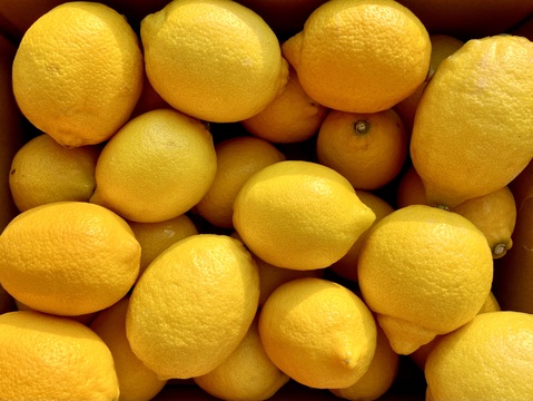 【完熟】レモン 3kg【風味豊かな香りと爽快果汁】【防腐剤・ワックス不使用】