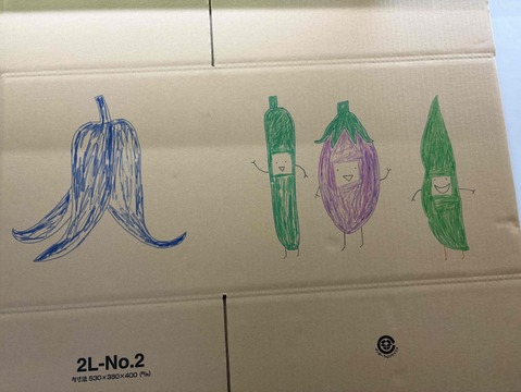 野菜セット【太陽の光を浴びました！】