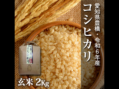 楽天市場】コシヒカリ 令和6年産 米 玄米 10kg 20kg 30kg 精米