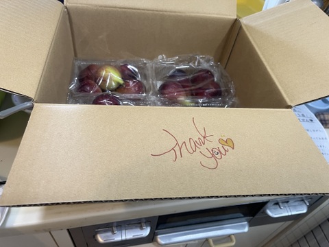 【最後の出荷】ギュギュギュッと詰まった魅力フルーツ【いちじく】4パック（本州の方限定）