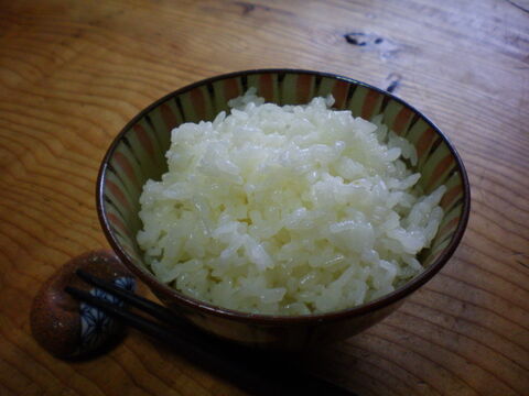 【米2品種】新潟産こがねもち（もち米）2Kgとコシヒカリ2Kg：もっちもちの艶艶新米！もち米と定番コシヒカリ白米の組み合わせ
