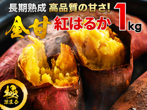 【都城産】長期熟成！宮崎産さつまいも紅はるか 1kg