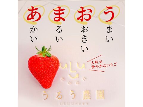 【お歳暮ギフトに】特選あまおう 400ｇ【冬ギフト】