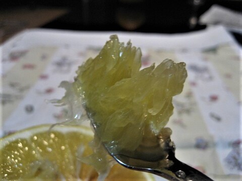 伊豆の朝採りグレープフルーツホワイト 農薬 肥料 除草剤 全て不使用