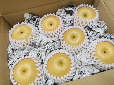 令和8年9月発送【予約】梨 南水 良品　3kg 長野県産　大好評‼️