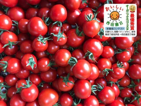 爽やかな甘さと酸味で大人気 糖度9～12度 フルーツトマト 　バラ1.5kg