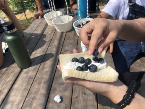 【農薬・肥料不使用】雑味のない、きれいな味｜朝摘みブルーベリー（500g）