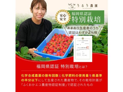 いちごの王様！あまおう苺 人気サイズ 270g×４パック デラックス等級【冬ギフト】