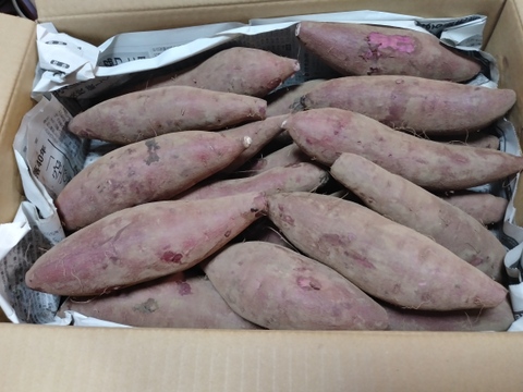 【数量限定】ふくむらさき(5kg)熟成１ヵ月超えでお届け！(茨城県産)・(サツマイモ)・(M～２Lサイズ)(土付き)
