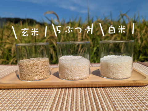 R5:あきたこまち5ぶつき9kg（農薬不使用のお米）