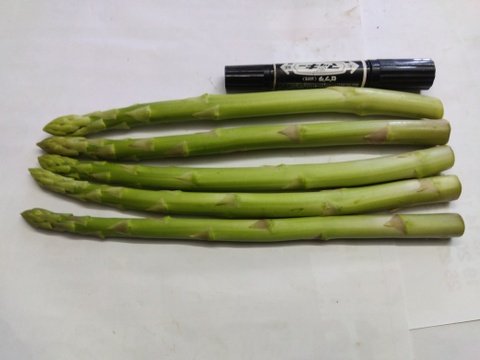 シャキシャキ！さぬきのめざめ秀品2Lサイズ夏芽1㎏