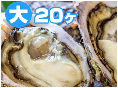 徳島県産 天然 岩牡蠣
【大  ２０ヶ入】