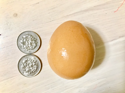 【チョット小さめ枯草菌・赤たまご100個】濃厚な黄身🍳、枯草菌育ちの赤たまご100個