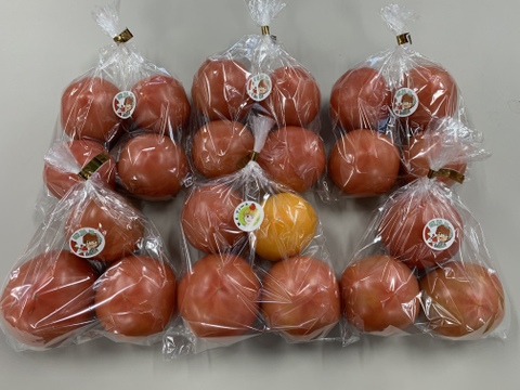 パリッと！新鮮！大玉トマトの2品種ランダムお楽しみセット【6袋】