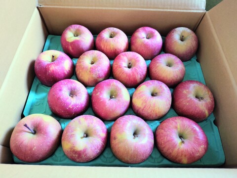 【栄養満点】 葉とらずふじ　5㎏　13～20玉　青森りんご　農家直送