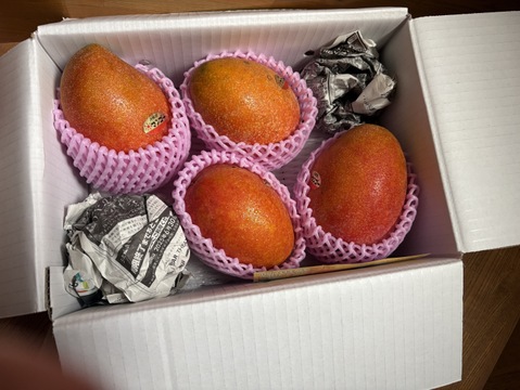 家庭用マンゴー ２kg(3玉～８玉)