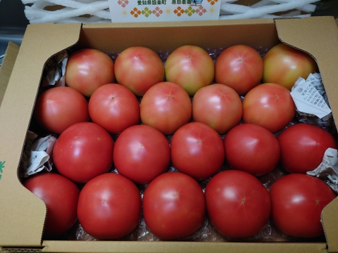 今が旬!高原トマト80サイズ箱２L size