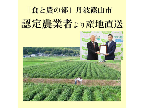 丹波篠山 黒枝豆 1.8kg( 600g × 3袋 ) 【令和7年新豆・予約販売】 産地直送 期間限定 贈答用にも最適 大粒 最高級 さや 枝豆
毎年完売 今しか味わえない 丹波篠山の黒枝豆 数量限定