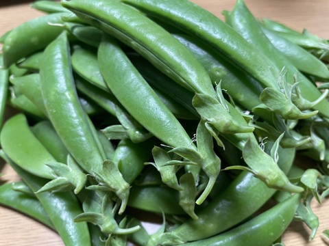 旬の野菜！！入ってます(*^^*)野菜セット（3～4種類）