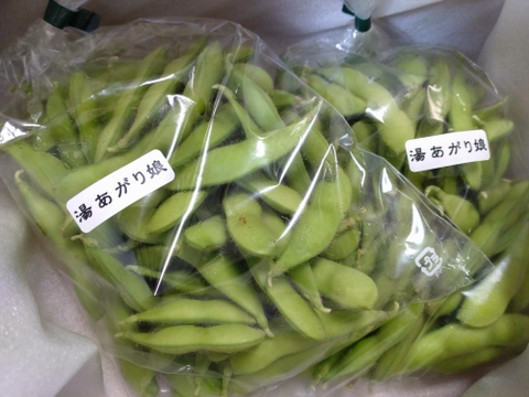 季節数量限定】限界まで太らせた贅沢！甘く濃厚！枝豆『湯上り娘