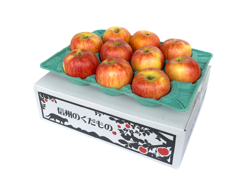 【今年から販売開始🍎】江刺ロマン 3キロ箱 6玉〜15玉サイズ 商品ID11618 長野県 信州 安曇野 リンゴ 幻 幻のリンゴ 予約 希少 旬 えさしロマン