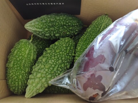 『在来種ゴーヤ自然栽培』【農薬完全不使用 完全無肥料栽培 】！淡路島産〙【1キロ】自然農法