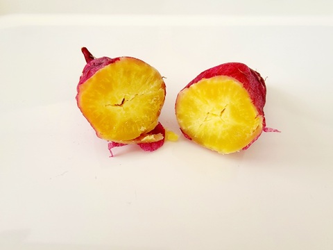 麦芽で育ったホクホクさつま芋『金時』小サイズ約1.8キロ熟成済み