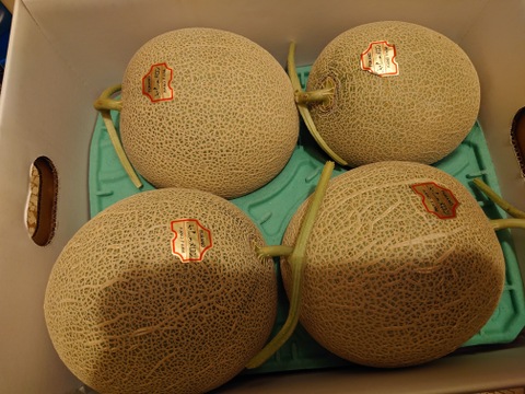訳あり品　富良野産 赤肉メロン 大箱（4～7玉）家庭用！