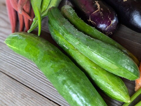 【フードロス商品・規格外・訳あり込み】☆未来をつくる笑み野菜☆旬の野菜セットS