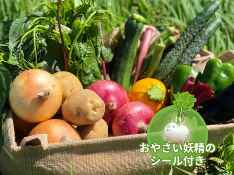 【食育やさいBOX】Mサイズ 旬彩野菜セット8-9品目