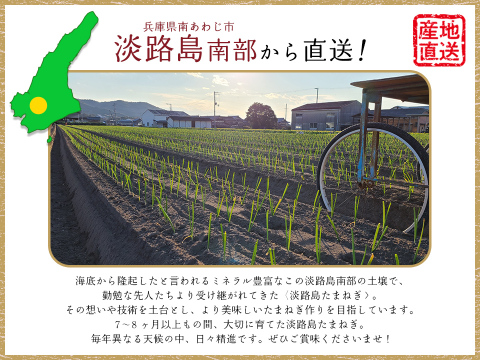 【3kg】 淡路島たまねぎ 島の宝 ひょうご安心ブランド 令和8年収穫 特別栽培 兵庫県認証食品 あさひサンファーム 南あわじ市 淡路島産 レシピ付き 玉ねぎ 玉葱 一人暮らし 少人数