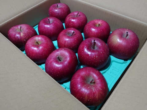 《予約受付》サンふじ　3kg（8個～11個）青森県産りんご　家庭用