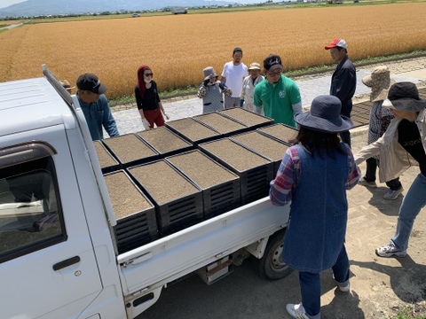 令和2年度産新米！熊本県北産ヒノヒカリ10kg