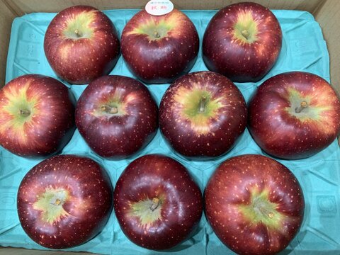 深紅色が目を引くりんご　秋映　家庭用（8個から12個）