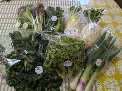 Mサイズ【栽培期間中農薬不使用】季節のお野菜詰め合わせ[6～8品目］