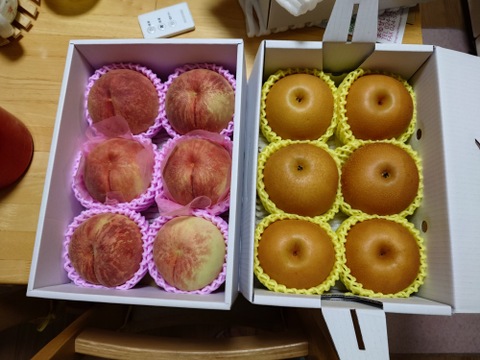 まるせい果樹園の梨　あきづき　2kg箱　(4～12玉入り)　nＡ2