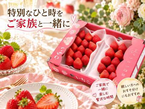 【予約販売 2026年11月下旬～順次発送】いちごの王様！あまおう苺 人気サイズ 約250g～270g×4パック（約1080g） デラックス等級