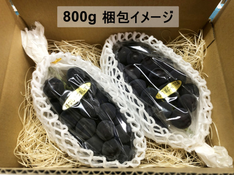 糖度抜群！種なし　あづましずく　房売り約800g　『クール便』