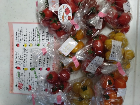 9種のカラフルミニトマト1000g【トマト食べ比べ】