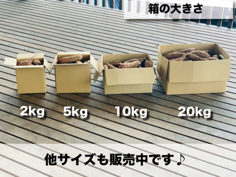 【茨城県産】さつまいも　紅はるか　サイズ大【約5kg】※農薬・化学肥料不使用