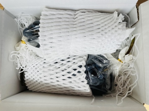 【農薬節約栽培】種ありベーリーA　2〜3房（約1kg）