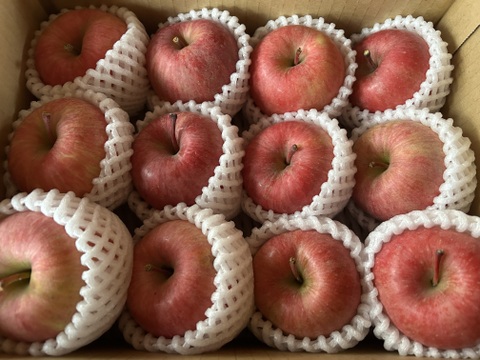 幻の蜜りんご‼️山形県産こうとく丸かじりサイズ【特秀2キロ】